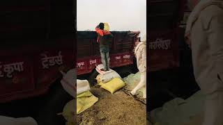 #ayaan #farming #instagram #song #trending #farmer #shortvideo #viral #explore #explorepage