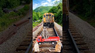 Cute dog beby stop train😁 bydance#trending#cute #cattrendingshorts#dance#train ##funny#video#train😘