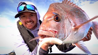 EARLY WINTER SNAPPER ON SHALLOW REEFS