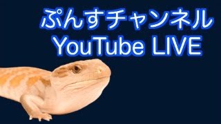 【YouTube LIVE】アイスでも食べてまったり雑談しましょう！