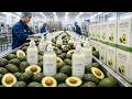 Inside the Avocado & Biotin Shampoo Factory —From Natural Ingredients to Healthy Hair (Full Process)