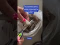 Сын отказался ехать к бабушке #женскиеистории