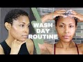 Wash Day Routine on Short Natural Hair | Big Chop | 4C TWA