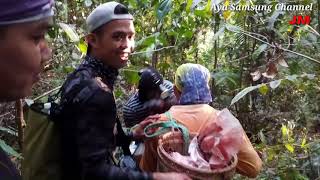 Download Lagu DAPAT BABI HUTAN YANG BESAR SEMASA DALAM PERJALANAN UNTUK MENYELAM Download Lagu DAPAT BABI HUTAN YANG BESAR SEMASA DALAM PERJALANAN UNTUK MENYELAM