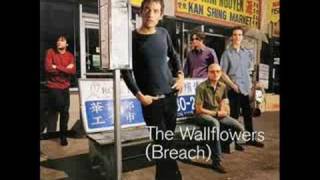 The Wallflowers - Letters From the Wasteland chords