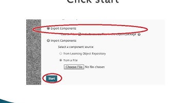 Import and Export content on D2L