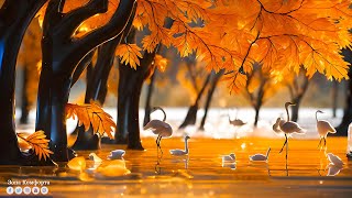 видео: СНОВА ОСЕНЬ 🍁 Самая красивая мелодия в мире! Такая красивая мелодия, что я плачу слушая! Музыка 2023 картинка: СНОВА ОСЕНЬ 🍁 Самая красивая мелодия в мире! Такая красивая мелодия, что я плачу слушая! Музыка 2023