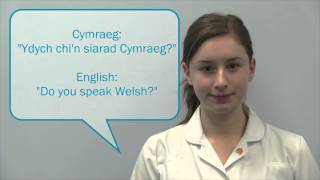 Basic Welsh Phrases