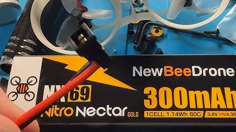 NewBeeDrone Hummingbird V4 // What is NX69!?