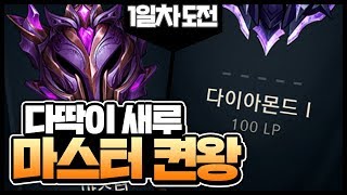 몰락한 모기 새루, 마스터 켠왕 도전기 1부 몰락한 모기 새루, 마스터 켠왕 도전기 1부