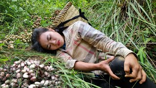 FULL VIDEO: 260 Days of Harvest UNIQUE Fruits (Bananas, Bamboo Shoots, Vegetable) Go to market sell