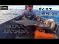 Fast Jigging di Pulau Batu Putih-Shimano Stella 4000FJ vs Daiwa Ryoga SV