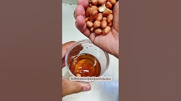 Hướng dẫn làm mồi câu cá chép và trắm cỏ, bài mồi câu hay #fishing #teocauca