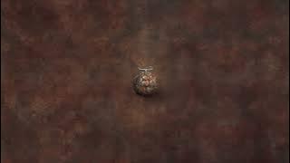 Jacob Lee - Antidote (Official Audio)