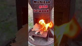 Michigan fatwood from Shlisa Shell The Fatwood Queen Etsys best fatwood ferro rod fire #bushcraft