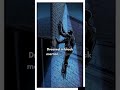 Did You Know About New York's Ninja Burglar?