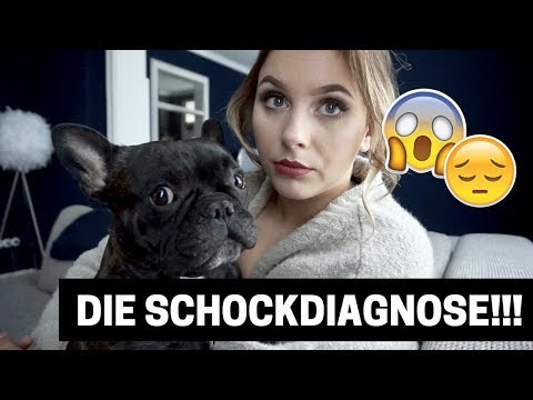 Video: Mastzelltumor (Mastozytom) Bei Hunden