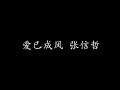 爱已成风 张信哲 歌词版 爱已成风 张信哲 歌词版