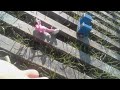 Youtube Thumbnail title