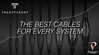 Paragon Transparent A Partnership Of Passion Objective Quality