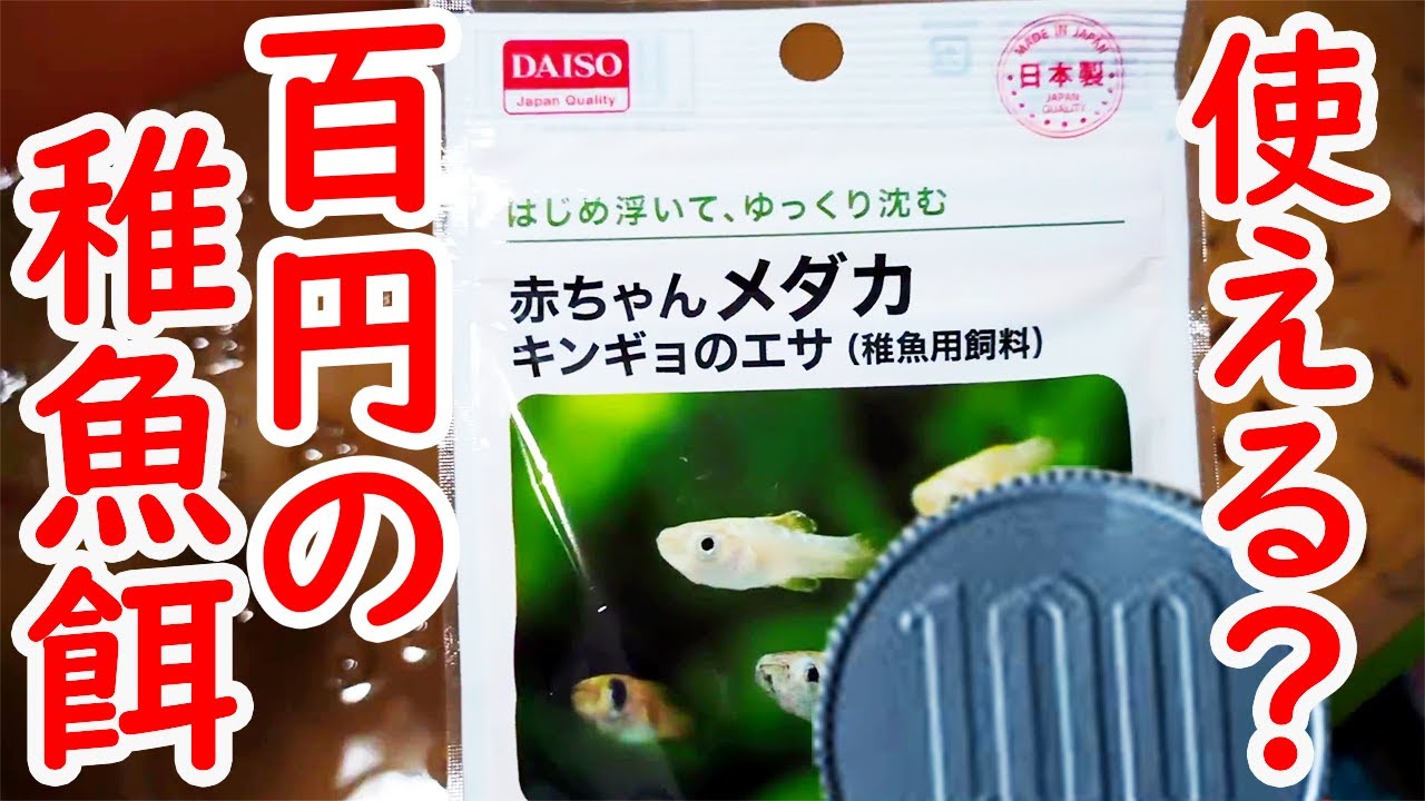 金魚 の 餌 どこに 売っ てる