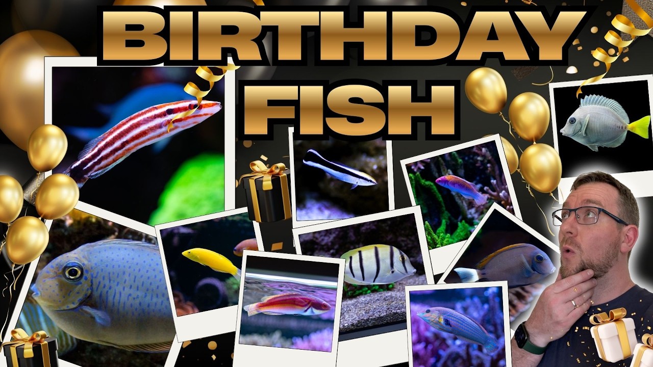 Adding 10 New Fish For My Birthday!