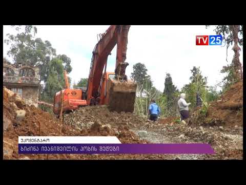 ბიძინა ივანიშვილის ჰობის შედეგი