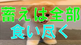 【テレフォン人生相談】「蓄えは全部食い尽くされた」