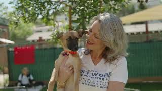 Rescue, Foster, Adopt, Repeat: The Mission of Eastwood Ranch Foundation