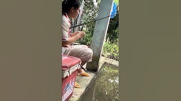 Nước Ngập Ngồi Trong Nhà Câu Cá