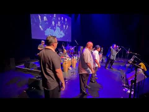 Malo- Nena (Live)