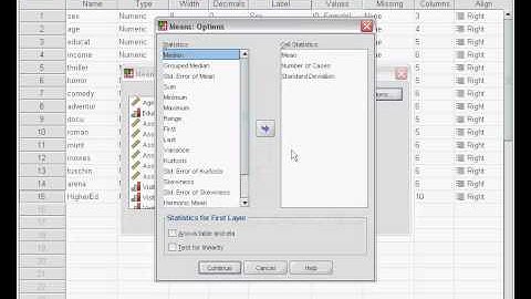 SPSS - Compare Means (no audio)