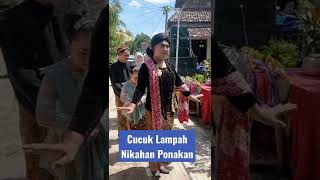 Tradisi Cucuk Lampah (Nikahan keponakan) #shorts #jokotingkir