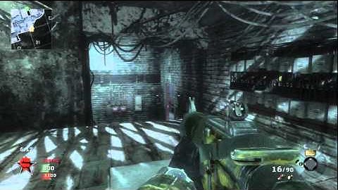 PorkChop vs NIRO Slybri and BoxOfPuppies   Black Ops   TDM on Kowloon