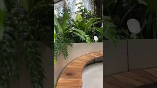 Nature Vibes at Amazon HQ 🌿