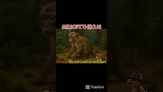Mesopithecus Codex @LostCreaturesCodex #fossils #animals #facts #extinctanimals #wildlife