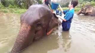 Mahout Training in Chiang Mai
