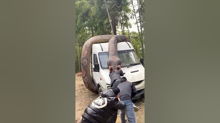 ثعبان ضخم يبتلع رجل #funny #shorts #funnyvideo #fyp