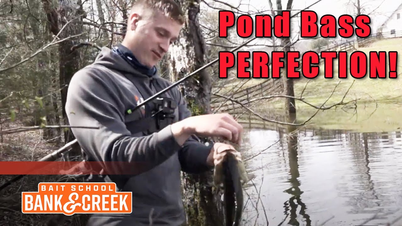 How To Catch the MOST Pond Bass This Spring (Top Baits & Techniques) - Bank  & Creek 