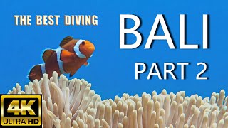 4K THE BEST DIVING IN BALI / TULAMBEN / PART 2 / Relax music / 2022 /