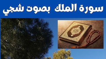 سورة الملك  ( تبارك الذي بيده الملك) كامله | تلاوة هادئة تريح الاعصاب 💚القران الكريم💚 بصوت جميل جدا