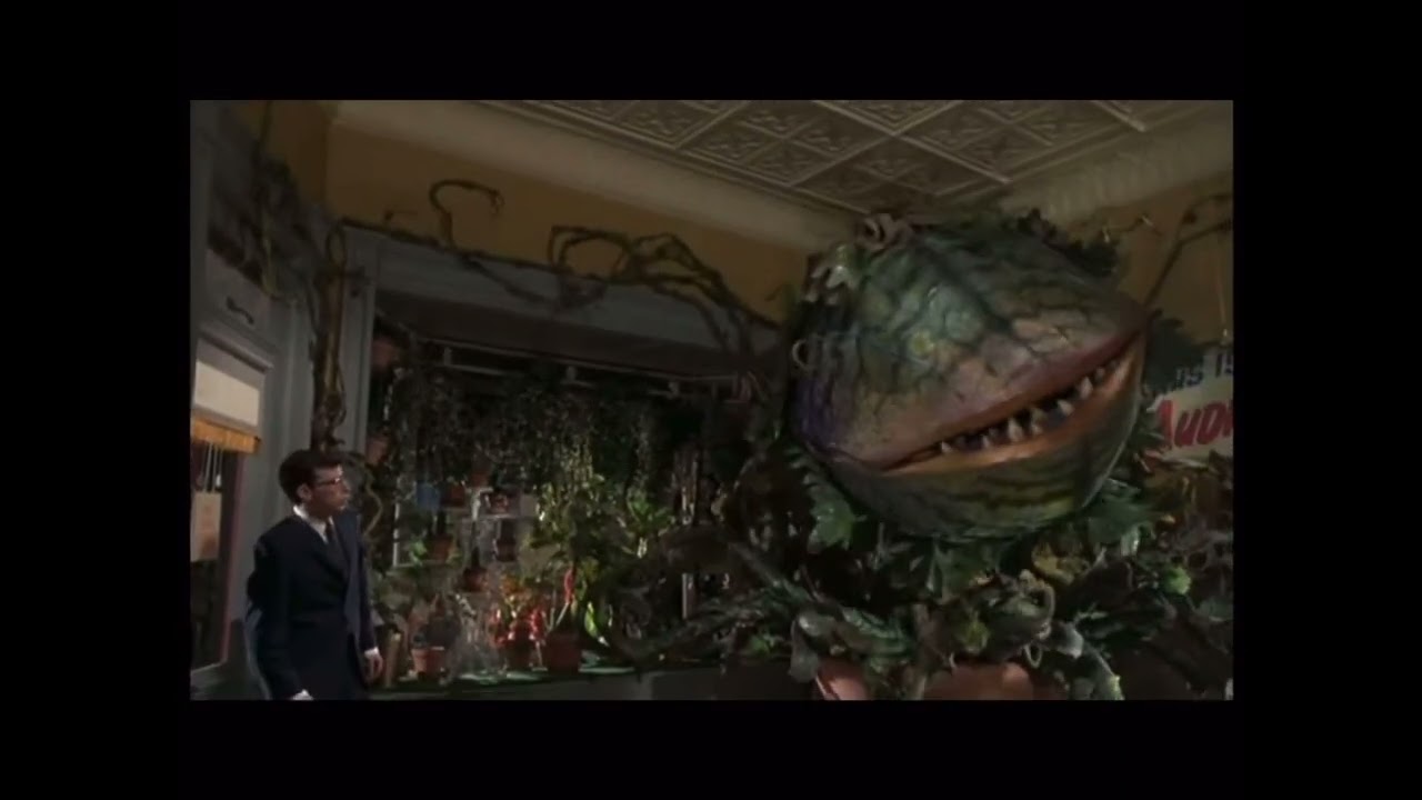 You sure do drive a hard bargain