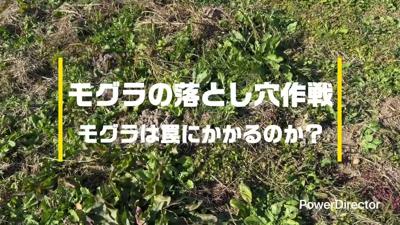 VSモグラ『通り道に落とし穴は効果あるのか？』