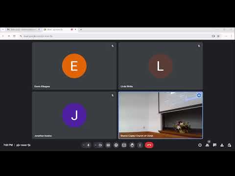 Video preview