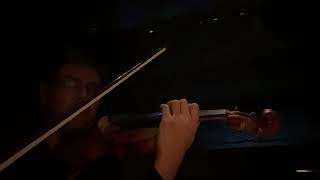 White Swan Violin Solo From Swan Lake By Tchaikovsky Chan Yoong Han Violin