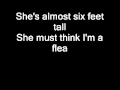 Shakira Don T Bother With Lyrics On Screen mp3