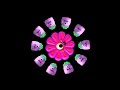 3D Creature Fun Baby Sensory High Contrast (Fun Music!) #BabySensory #BabyMusic
