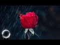 Rain and meditation music  rain sounds for sleeping  asmr sleep music