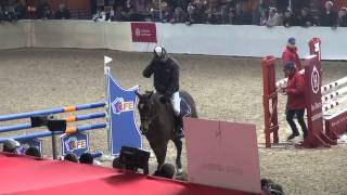 Ulpien d'Elle (webstallions.com)