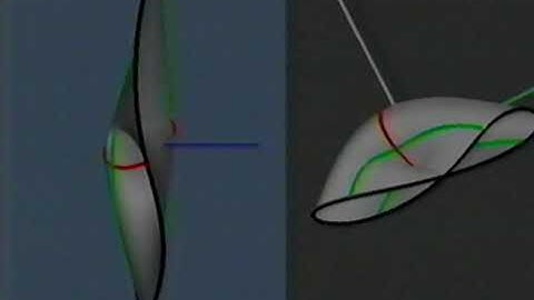 Computer Visualization of Bifurcation Phenomena. Richard McGehee and Rick Wicklin and Nicholas Vera.